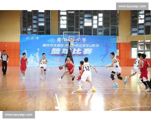 从学习成长与价值引导角度探讨篮球比赛是否适合学生观看分析研究