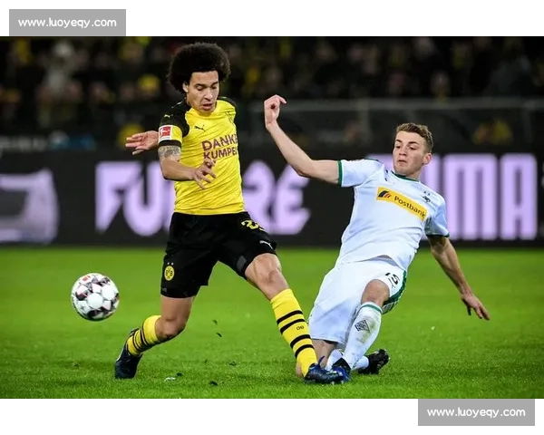 从创立到辉煌德甲足球联赛六十余年发展历程与文化传承全景回顾